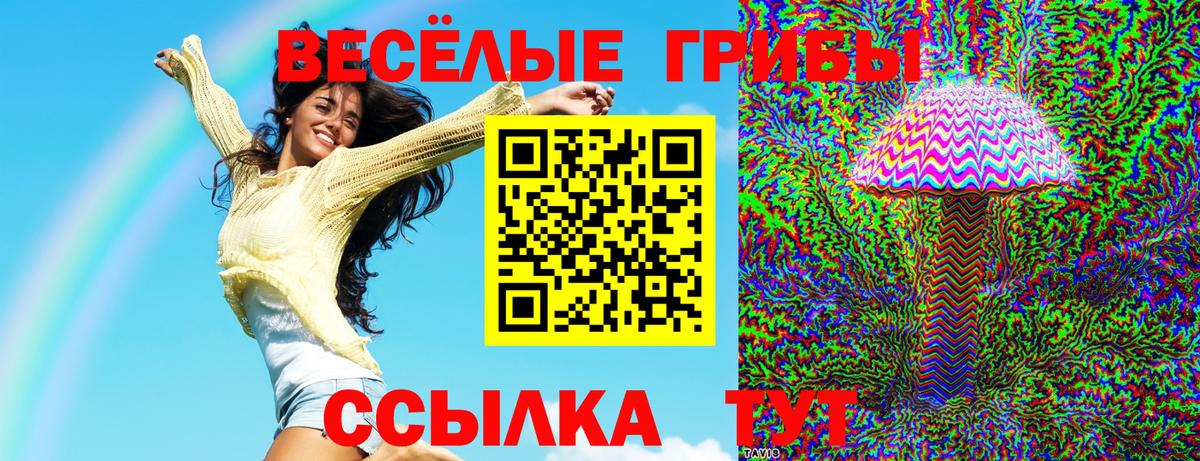 Псилоцибиновые грибы MAGIC MUSHROOMS Великий Новгород