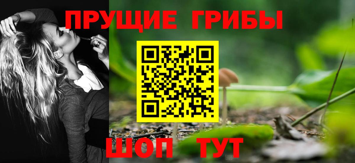 Псилоцибиновые грибы мухоморы  Псилоцибиновые грибы мухоморы  Вход с VPN  Великий Новгород 